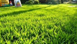 Rasen im März düngen: Der eine Fehler, den laut NABU fast alle Hobbygärtner machen