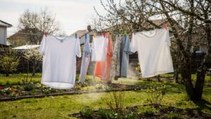 Wäsche bei 12 Grad draußen trocknen, warum die Verbraucherzentrale das im März ausdrücklich empfiehlt