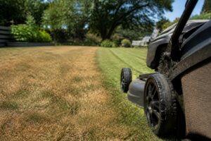 Rasen in der Mittagshitze mähen? Warum dieser Fehler bei über 30 Grad tagelang sichtbar bleiben kann